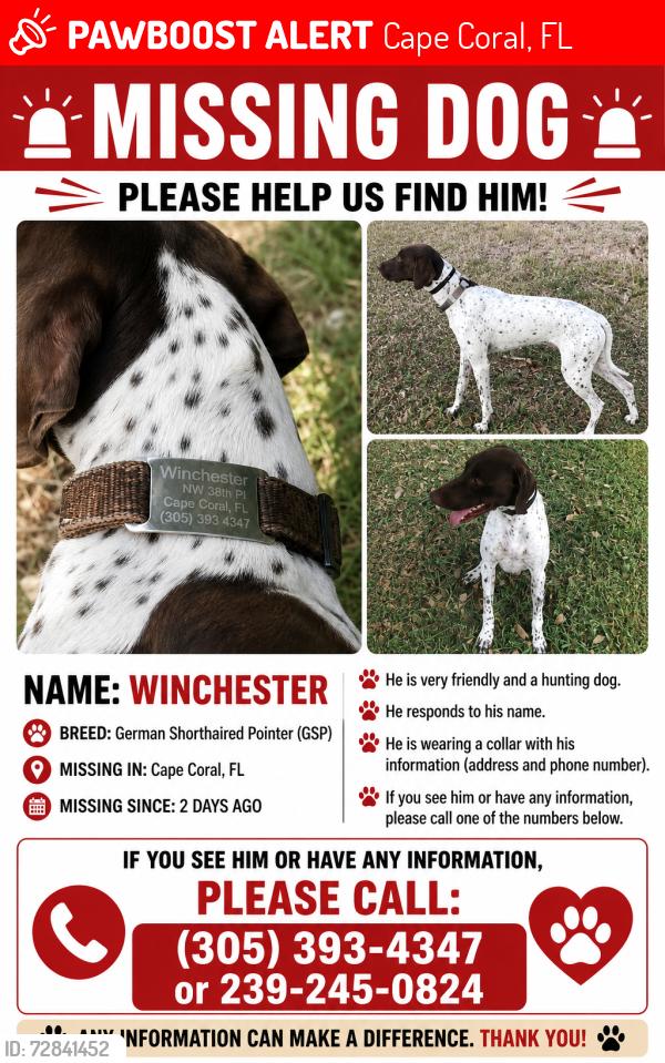 Lost Male Dog last seen Nw 38 PL, Cape Coral, FL 33993