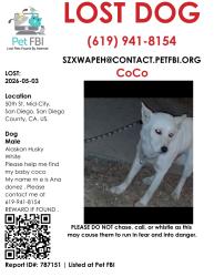 Lost Male Dog last seen 50th, San Diego, CA 92105