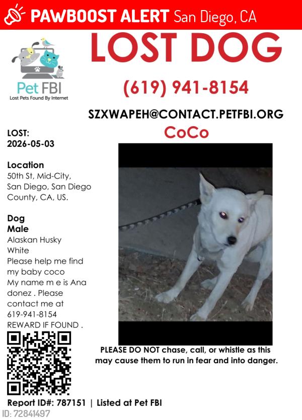 Lost Male Dog last seen 50th, San Diego, CA 92105