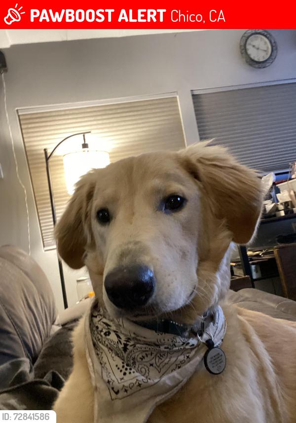 Lost Male Dog last seen Rio Iindo, Chico, CA 95926