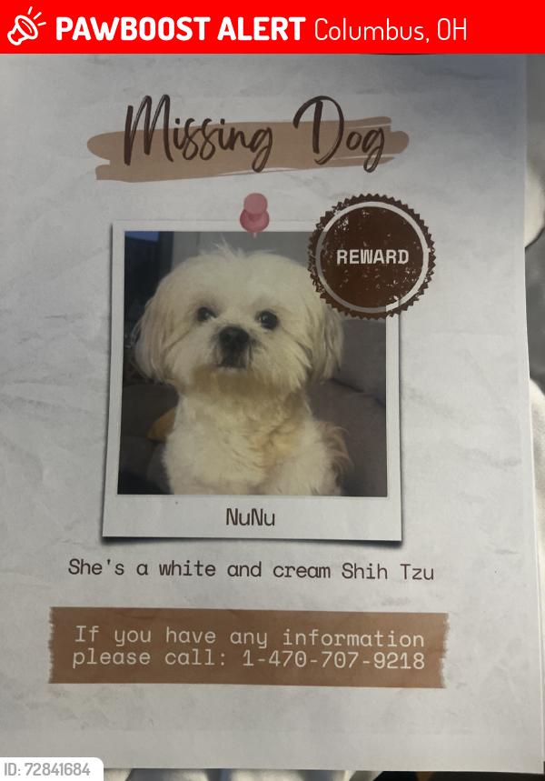 Lost Female Dog last seen Hamilton ave, Columbus, OH 43211
