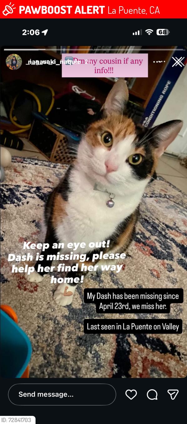 Lost Female Cat last seen Valley and 2nd Ave , La Puente, CA 91744