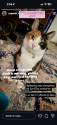 Lost Female Cat last seen Valley and 2nd Ave , La Puente, CA 91744