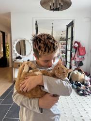 Lost Male Cat last seen Apple Valley off Highway C, Sun Prairie, WI 53590