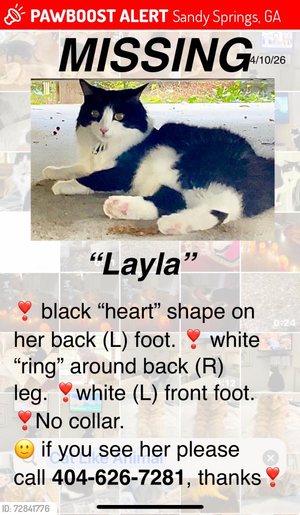 Lost Female Cat last seen Spruell Springs & Lake Forrest, Sandy Springs, GA 30342