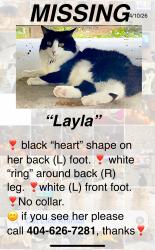 Lost Female Cat last seen Spruell Springs & Lake Forrest, Sandy Springs, GA 30342