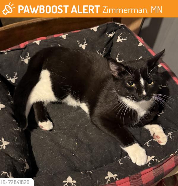 Found/Stray Male Cat last seen 104th St NW & 261st Ave NW, Zimmerman, MN 55398