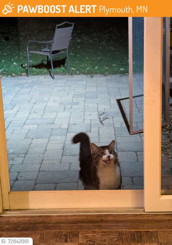 Found/Stray Unknown Cat last seen er park in plymouth, Plymouth, MN 55441
