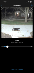 Found/Stray Unknown Cat last seen In front of building 12, Murfreesboro, TN 37128