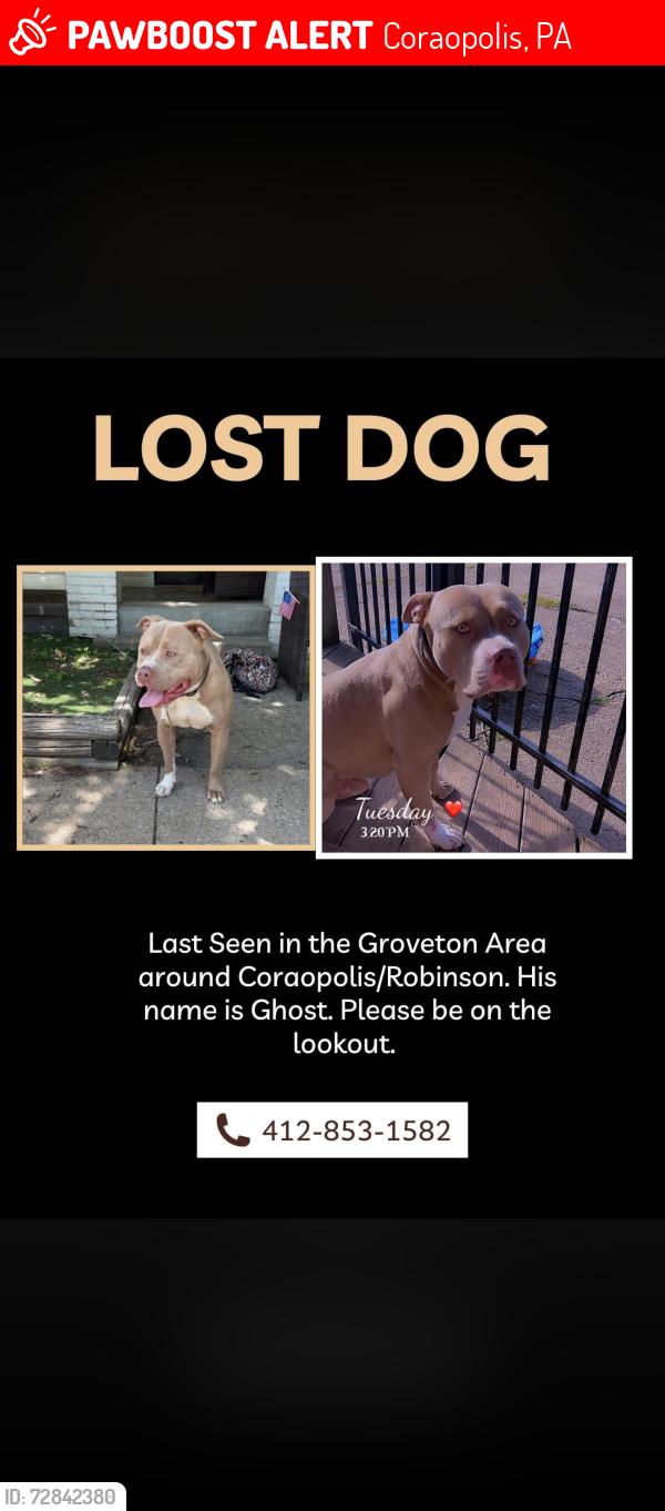 Lost Male Dog last seen Groveton, Coraopolis, PA 15108