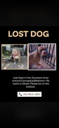 Lost Male Dog last seen Groveton, Coraopolis, PA 15108