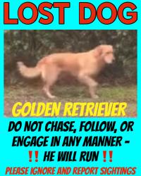 Lost Unknown Dog last seen Running southbound on CCNE towards Industrial Plaza Dr , Tallahassee, FL 32308