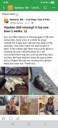 Lost Male Cat last seen 10th and University , Spokane Valley, WA 99206