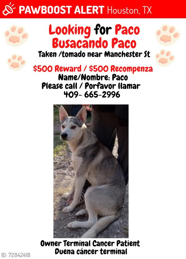 Lost Male Dog last seen 92nd & Manchester , Houston, TX 77012