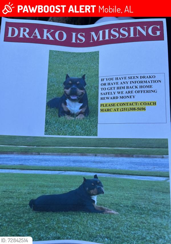 Lost Male Dog last seen Farnell drive mobile , Mobile, AL 36605