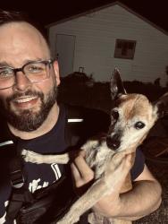 Found/Stray Male Dog last seen Tacoma, Tacoma, WA 98408