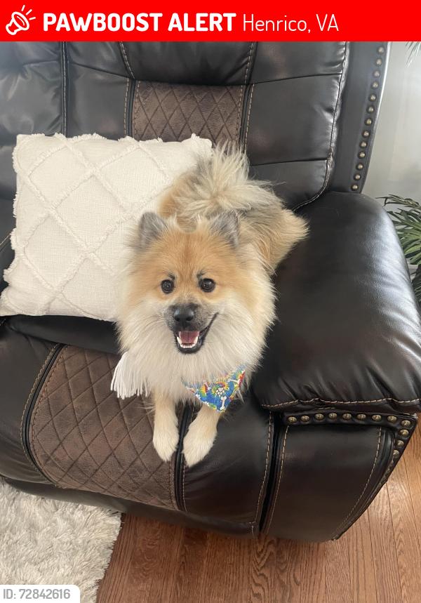 Lost Male Dog last seen Near Wistar Woods Ct, Henrico, VA 23228