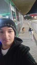 Found/Stray Male Dog last seen They were following me because I fed them but they were at the jack in the box on faromont Pkwy and underwood , La Porte, TX 77571