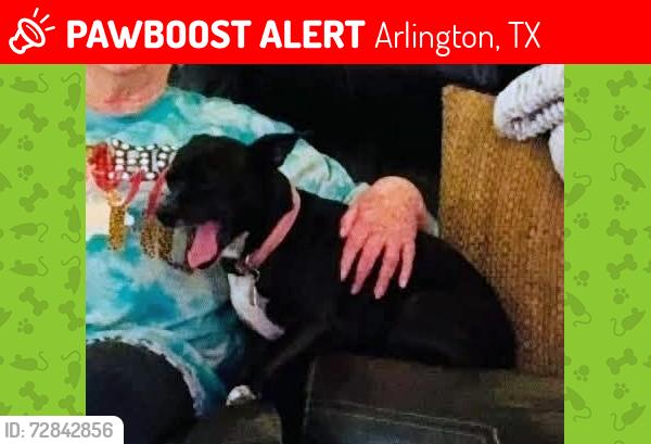 Lost Male Dog last seen E Rogers street, Arlington, TX 76011