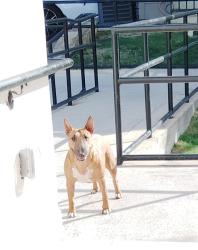 Found/Stray Unknown Dog last seen Haskell , Dallas, TX 75204