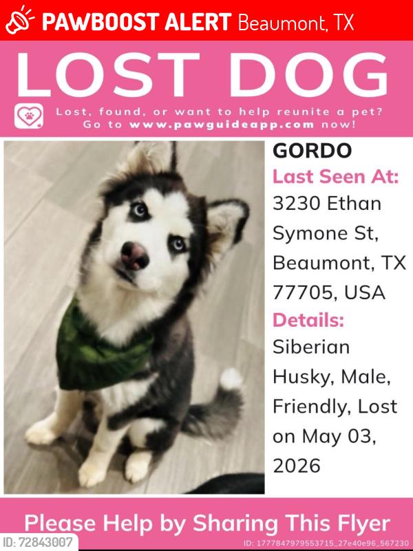 Lost Male Dog last seen IH-10, Beaumont, TX 77705