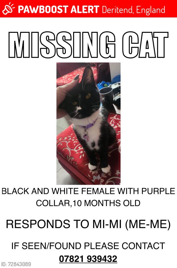 Lost Female Cat last seen The Burj 1 car park, Deritend, England 
