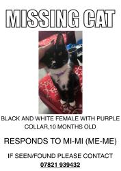 Lost Female Cat last seen The Burj 1 car park, Deritend, England 