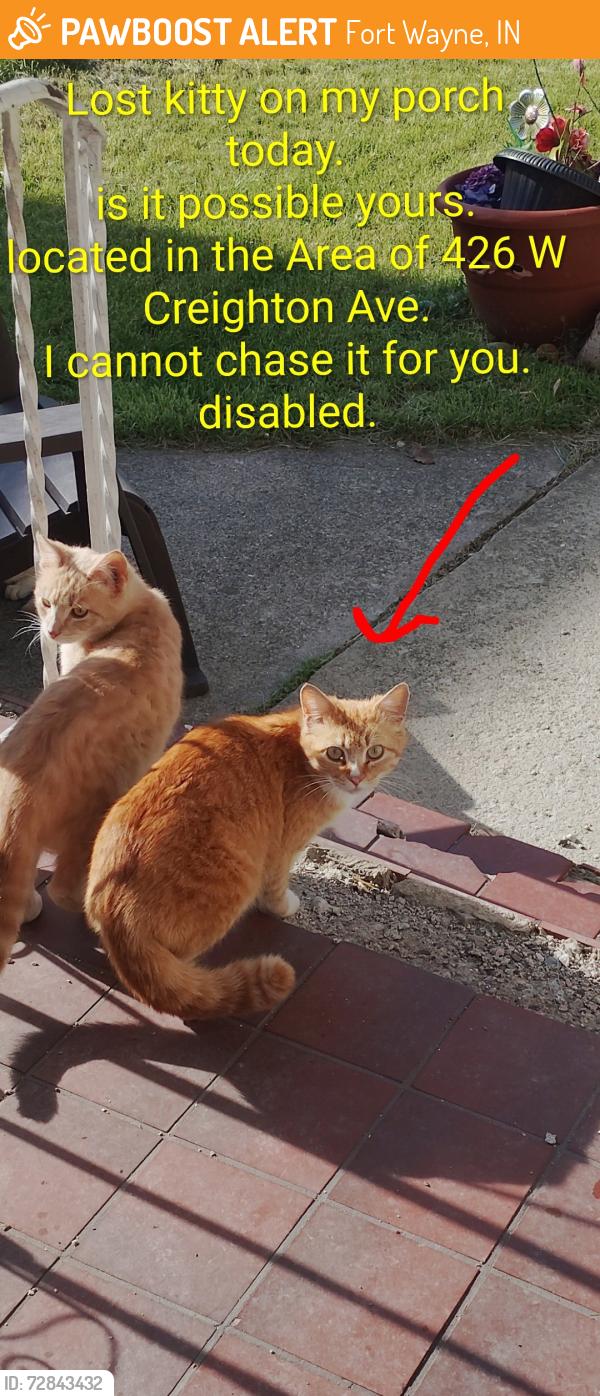 Found/Stray Unknown Cat last seen West Creighton Ave near Fairfield avenue , Fort Wayne, IN 46807