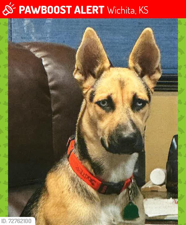 Lost Female Dog last seen 45th Str North & Old Lawrence RD, Wichita, KS 67219