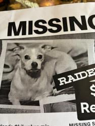 Lost Male Dog last seen Camanche and San Mateo, Albuquerque, NM 87110