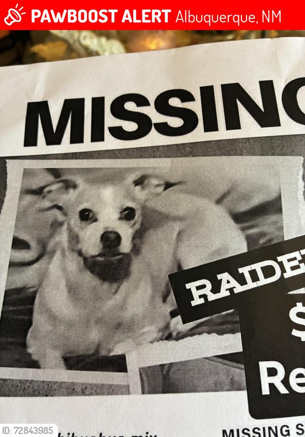 Lost Male Dog last seen Camanche and San Mateo, Albuquerque, NM 87110