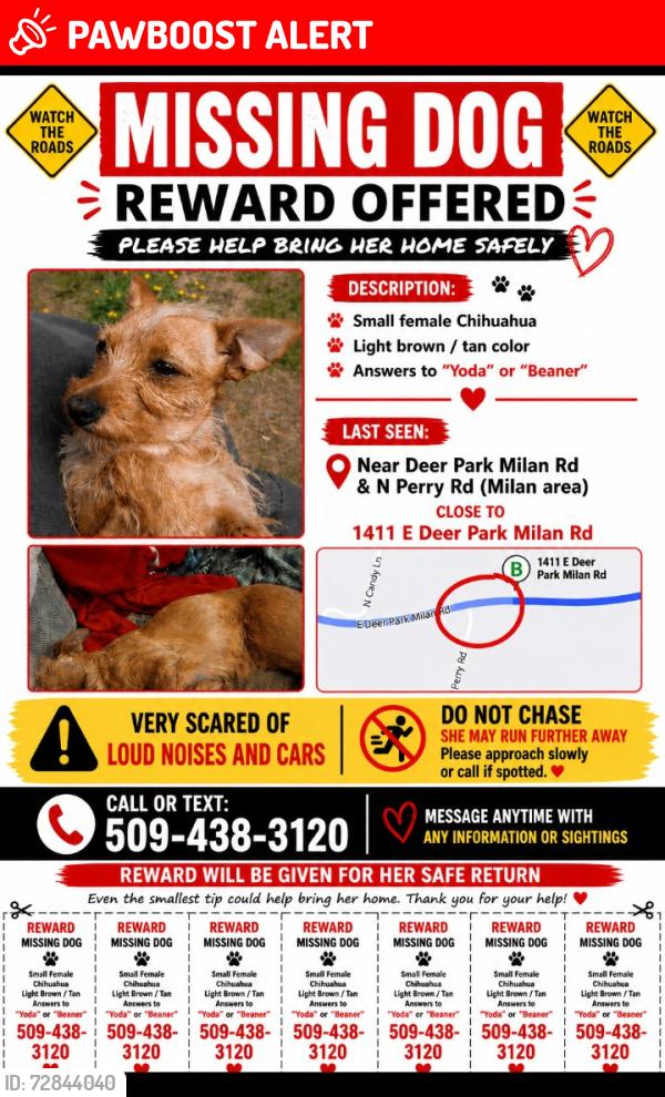 Lost Female Dog last seen North perry rd, Spokane County, WA 99003