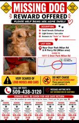 Lost Female Dog last seen North perry rd, Spokane County, WA 99003