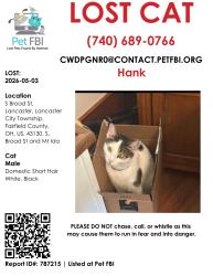 Lost Male Cat last seen S. Broad St and Mt Ida, Lancaster, OH 43130