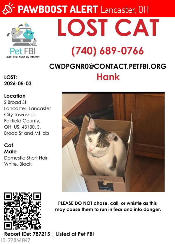 Lost Male Cat last seen S. Broad St and Mt Ida, Lancaster, OH 43130