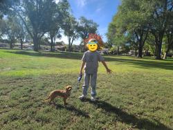Lost Male Dog last seen Bernardo NM , Socorro County, NM 87006