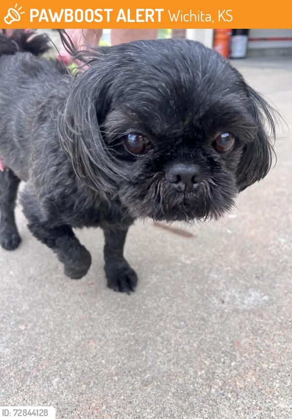Found/Stray Male Dog last seen 29th and Ridge Road, Wichita, KS 67205
