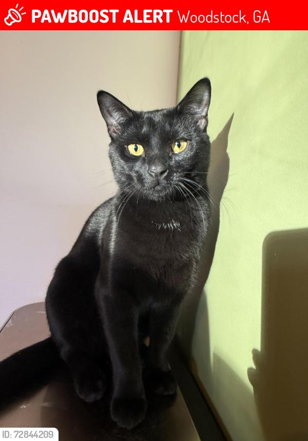 Lost Male Cat last seen Victoria Landing Dr and Victoria Road, Woodstock, GA 30189