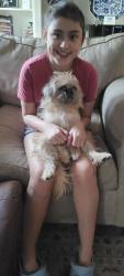 Lost Female Dog last seen Near oak Country Way , San Antonio, TX 78228