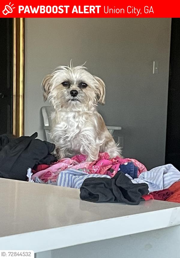 Lost Male Dog last seen Highpoint and Lake court, Union City, GA 30291