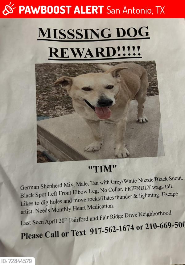Lost Male Dog last seen Callao, San Antonio, TX 78228