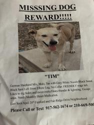 Lost Male Dog last seen Callao, San Antonio, TX 78228