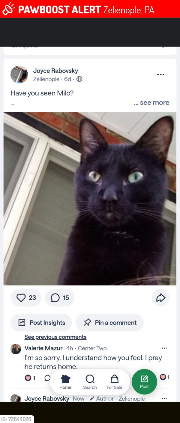 Lost Male Cat last seen Marion Drive near Zelienople Airport , Zelienople, PA 16063