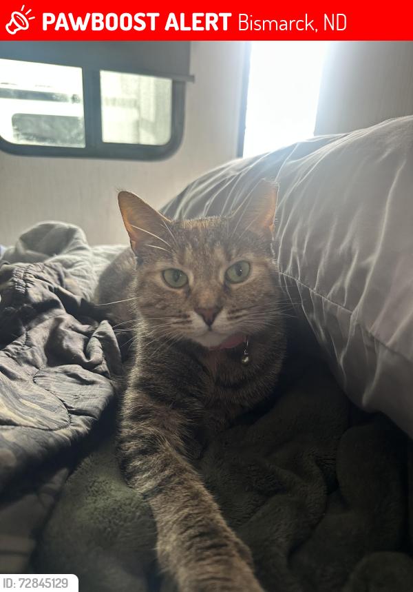 Lost Female Cat last seen Bismarck KOA, Bismarck, ND 58501