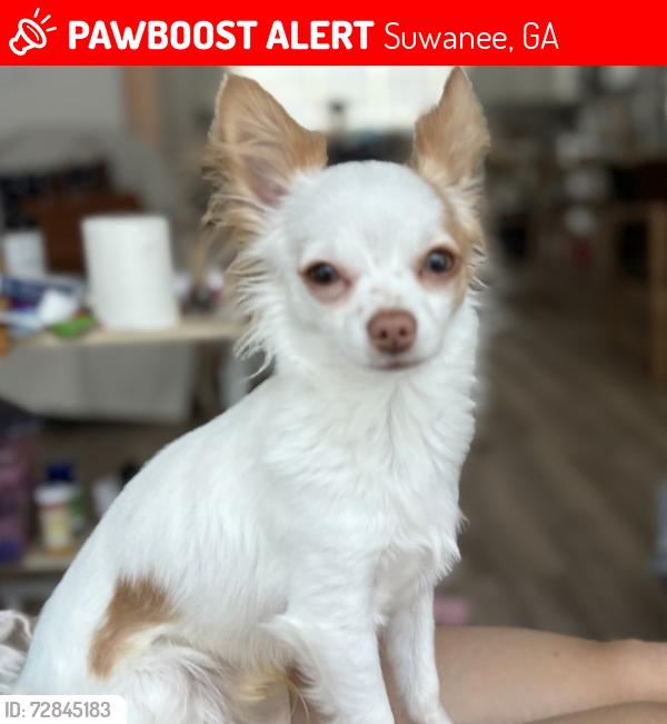 Lost Male Dog last seen McGinnis and  Lawrenceville Suwanee Rd, Suwanee, GA 30024
