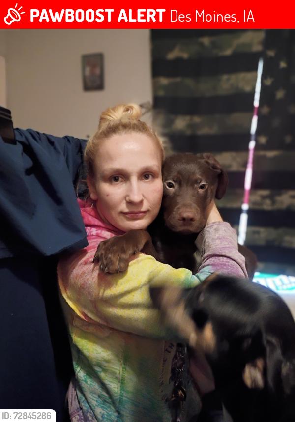 Lost Male Dog last seen Near block of capital ave Des Moines Iowa , Des Moines, IA 50316