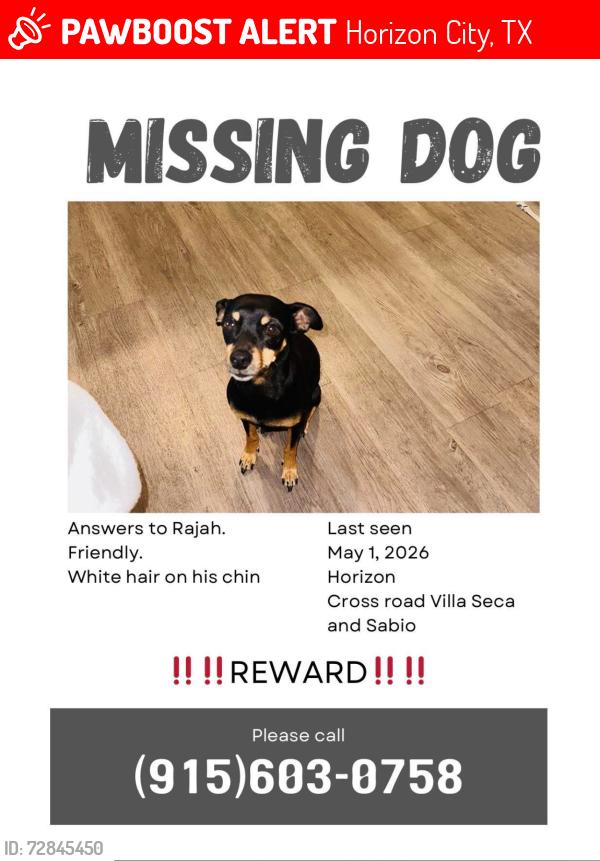 Lost Male Dog last seen Villa Seca & Sabio, Horizon City, TX 79928