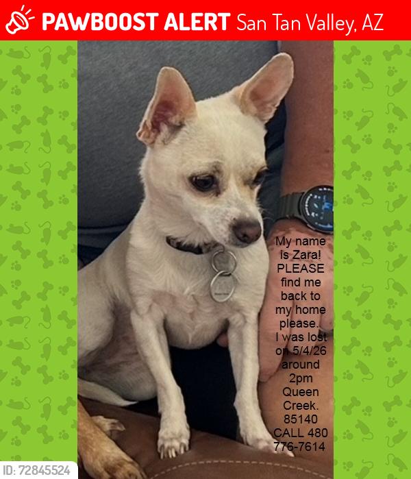 Lost Female Dog last seen Near E. WhiteHall Drive Santan Valley , San Tan Valley, AZ 85140