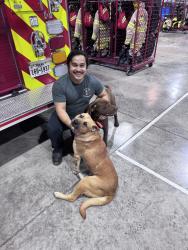 Found/Stray Male Dog last seen The fire station, Joshua, TX 76058