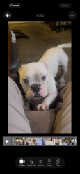 Lost Male Other last seen Country village, Jurupa Valley, CA 91752
